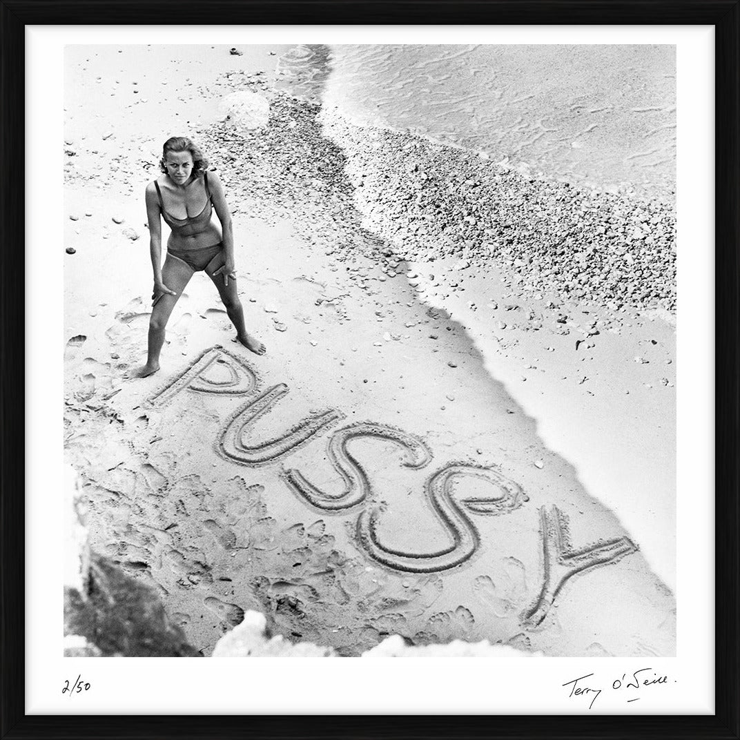  by Iconic Images – Limited Edition Print.