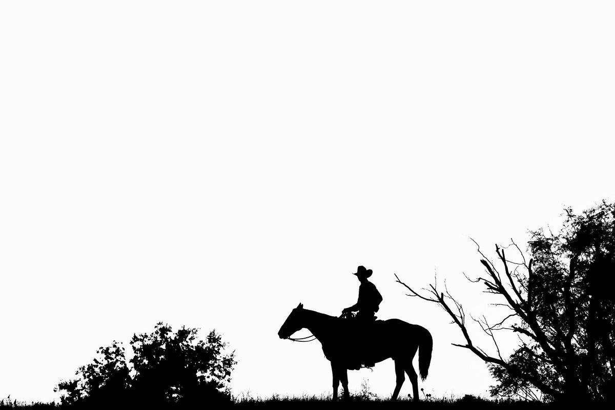  by Iconic Images – Limited Edition Print.
