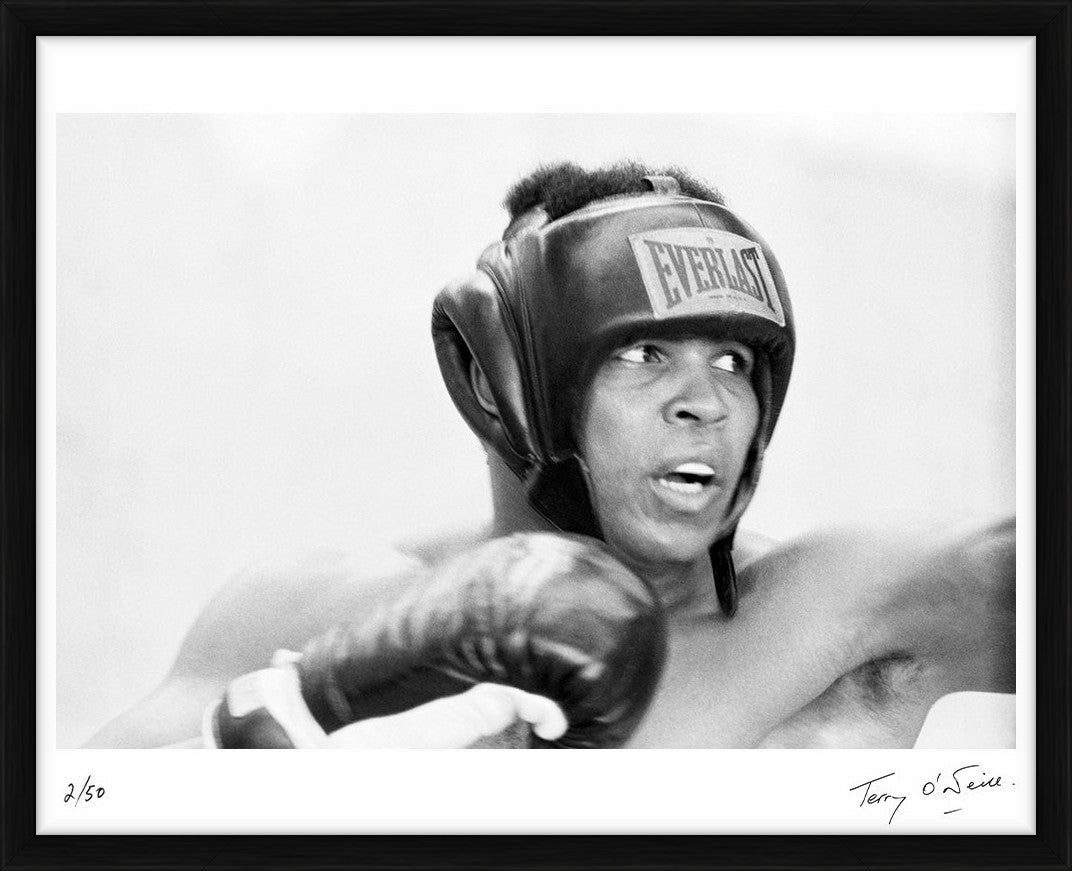  by Iconic Images – Limited Edition Print.