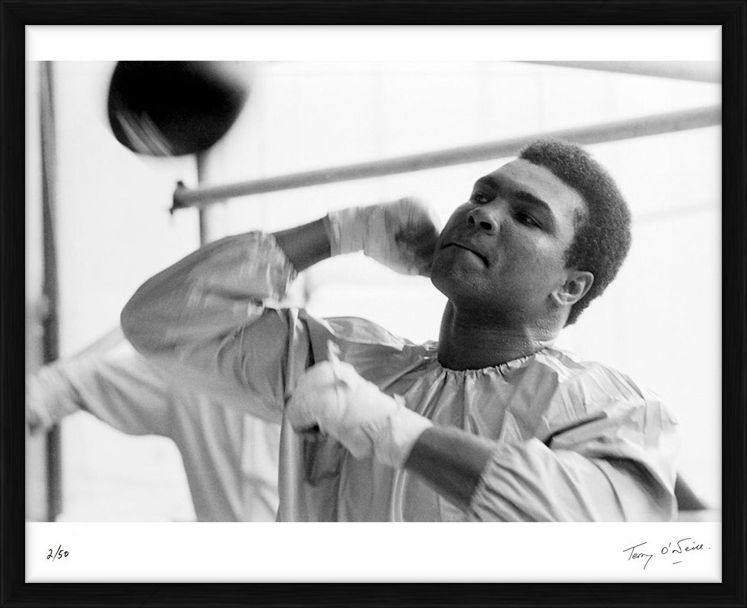  by Iconic Images – Limited Edition Print.