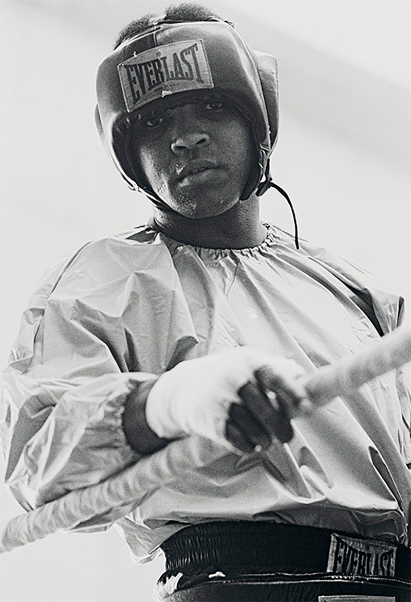  by Iconic Images – Limited Edition Print.
