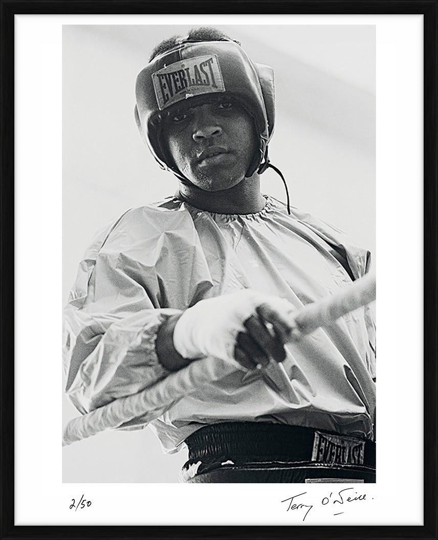  by Iconic Images – Limited Edition Print.