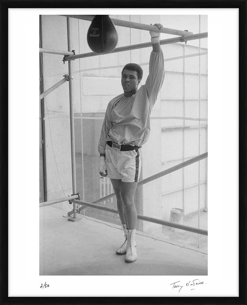  by Iconic Images – Limited Edition Print.