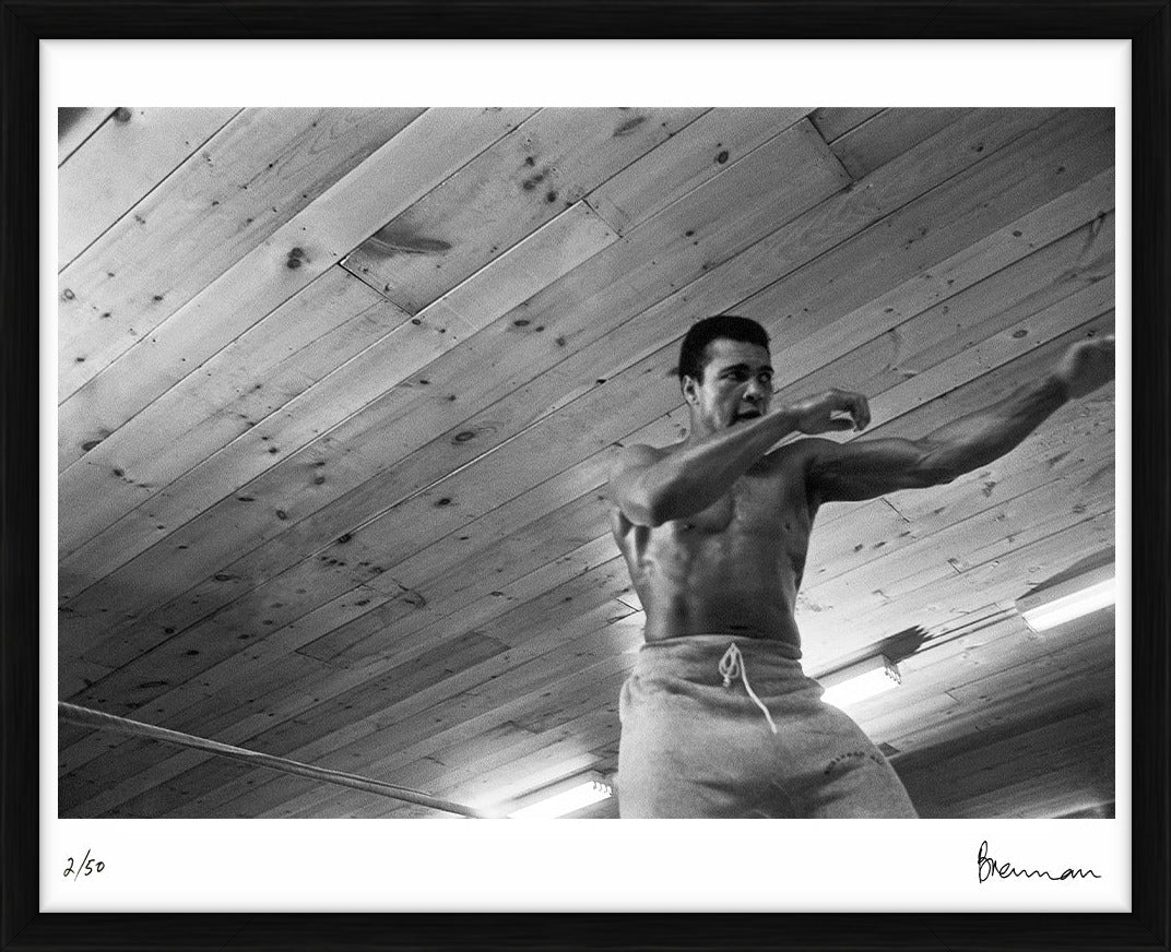  by Iconic Images – Limited Edition Print.