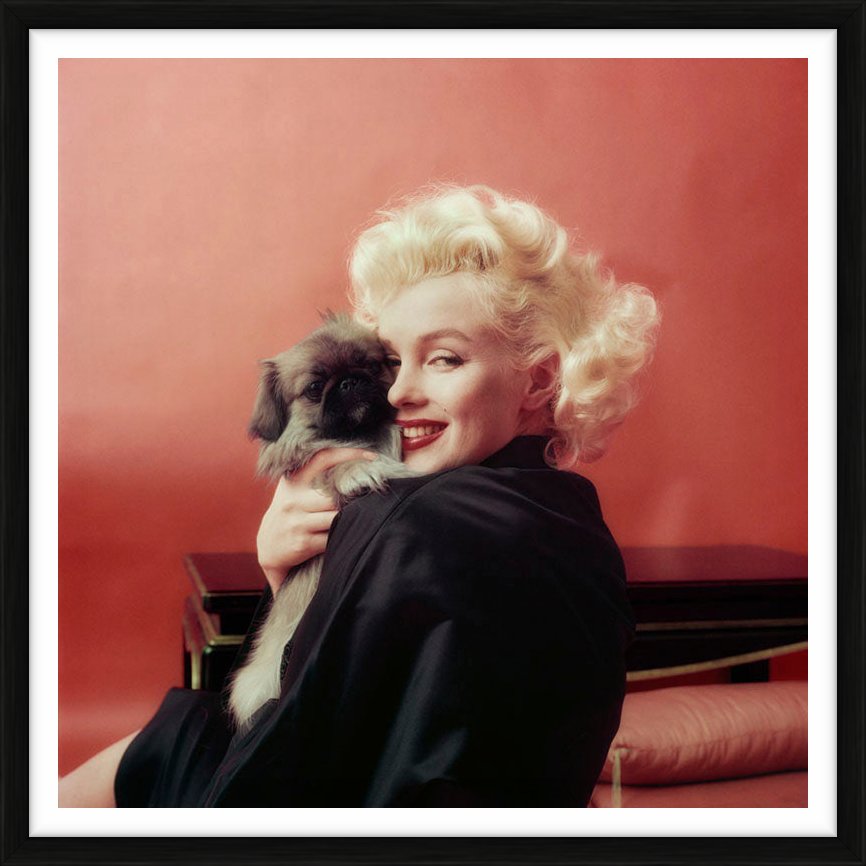  by Iconic Images – Limited Edition Print.