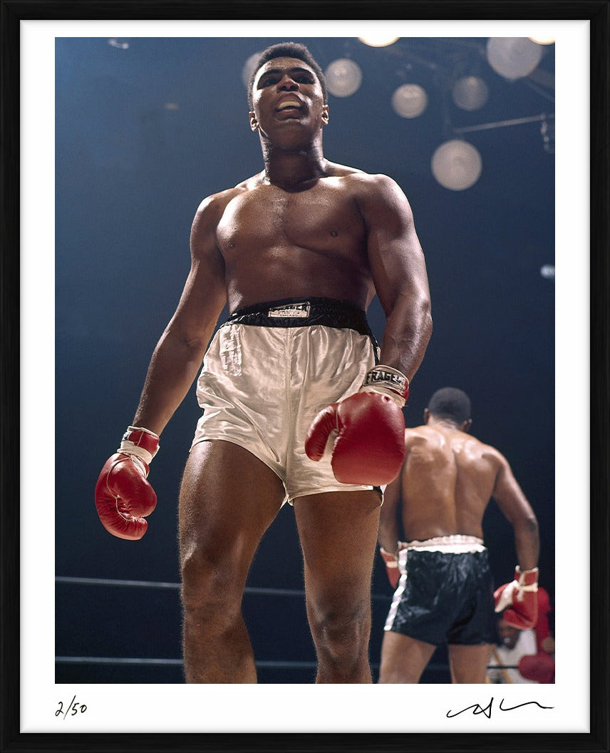  by Iconic Images – Limited Edition Print.