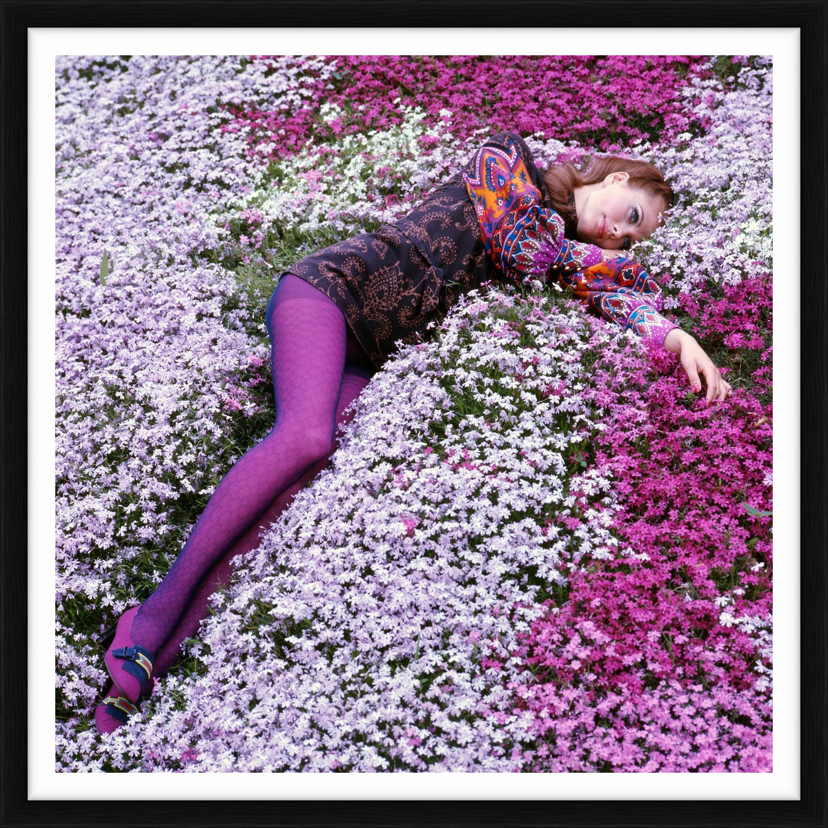  by Iconic Images – Limited Edition Print.