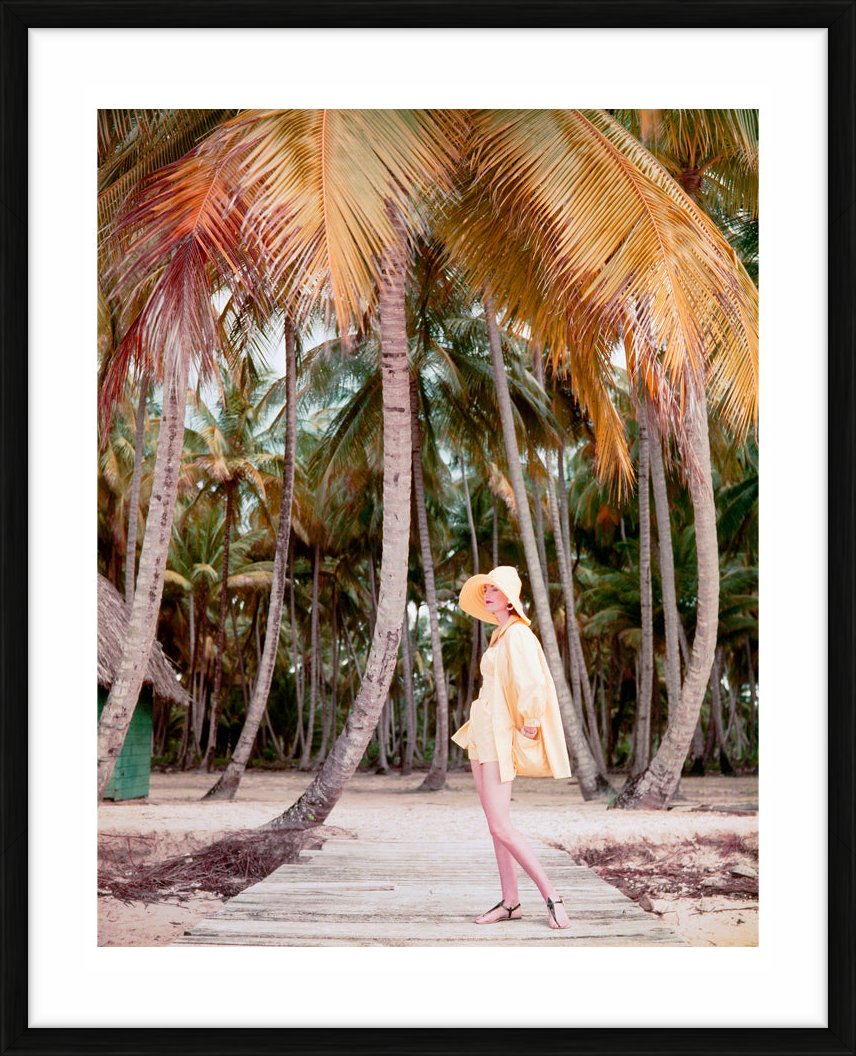  by Iconic Images – Limited Edition Print.