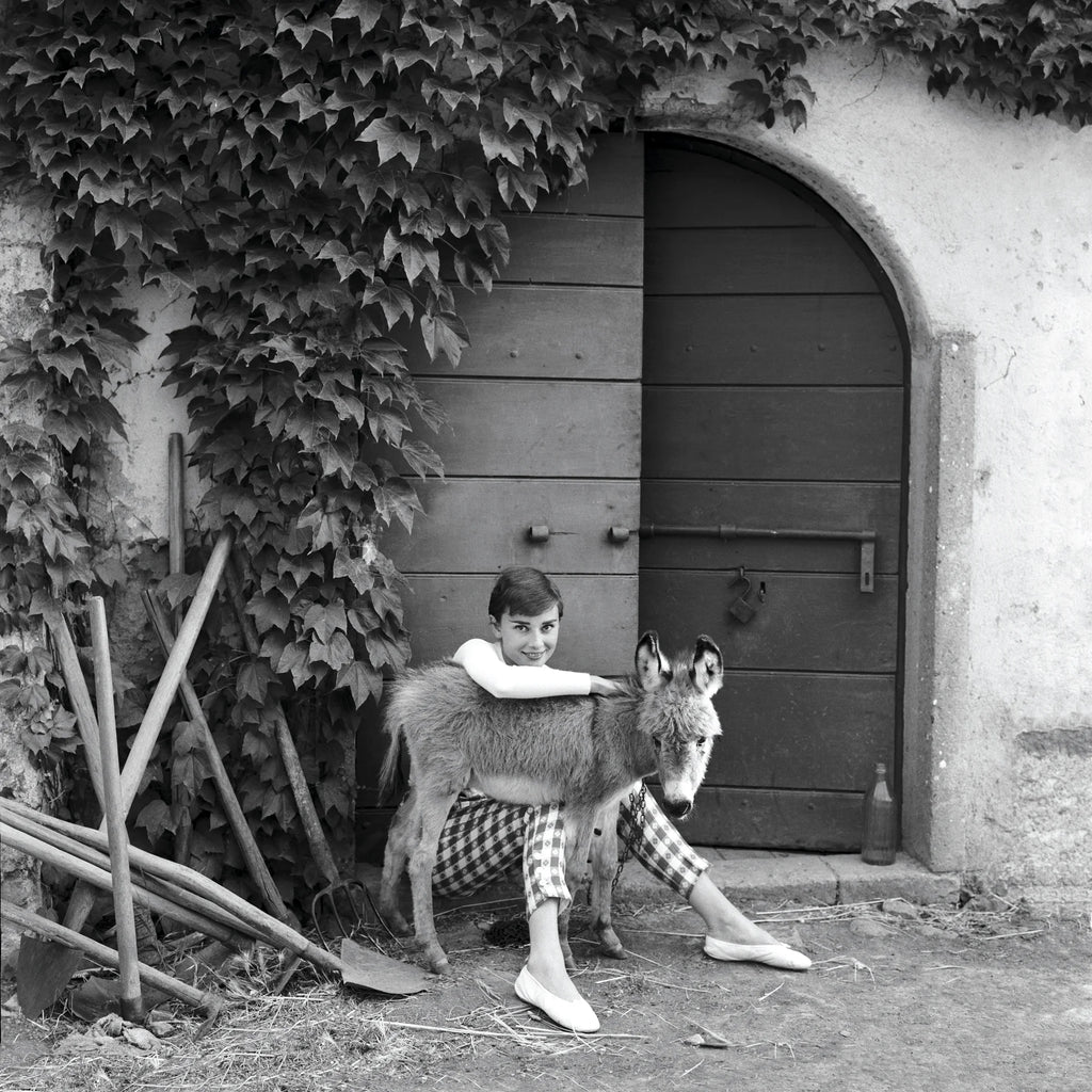 Audrey Hepburn with a donkey, 1955 — Limited Edition Print