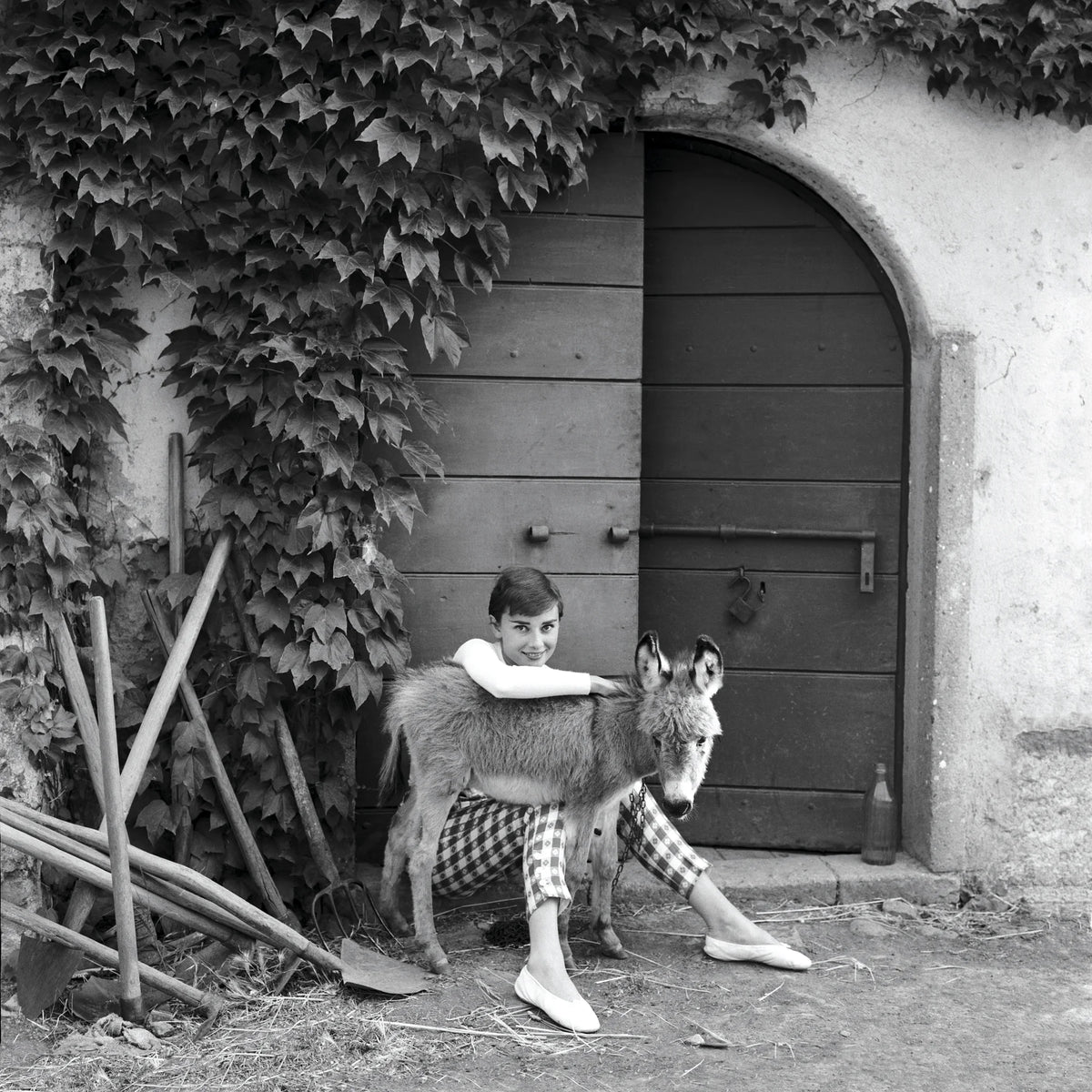  by Iconic Images – Limited Edition Print.