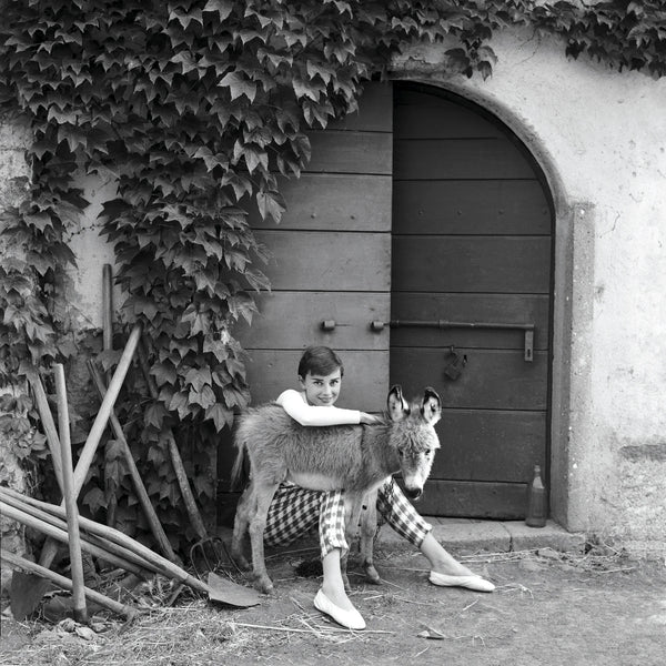 Audrey Hepburn with a donkey, 1955 — Limited Edition Print