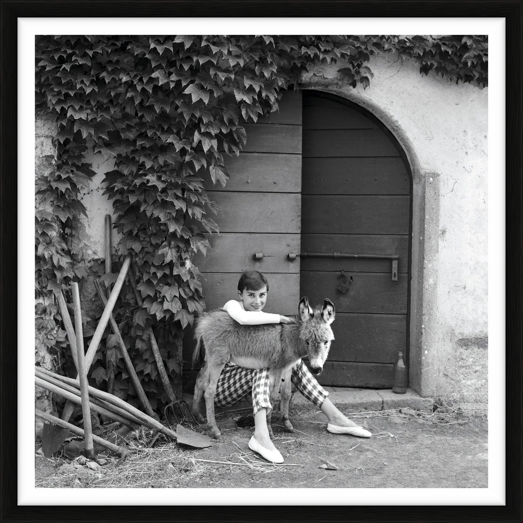 Audrey Hepburn with a donkey, 1955 - Limited Edition Print by Norman Parkinson – Limited Edition Print.