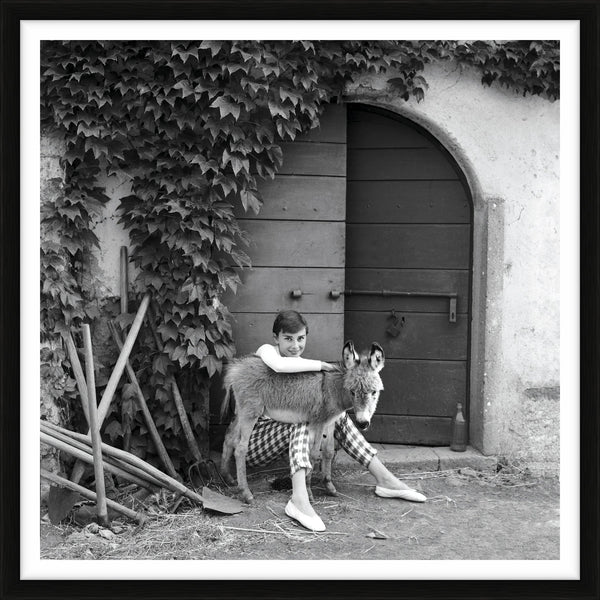Audrey Hepburn with a donkey, 1955 — Limited Edition Print, framed - Norman Parkinson