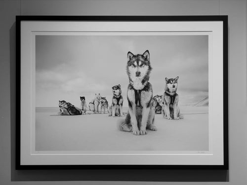 Big Shot – Qaanaaq, Greenland, 2015