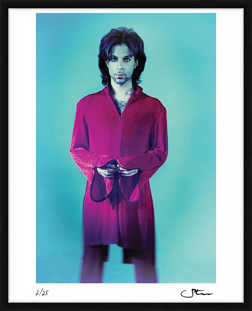 Prince in velvet - Limited Edition Print by Steve Parke – Limited Edition Print.