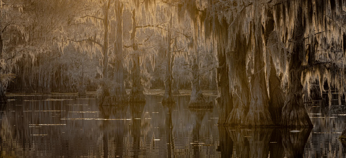 Lost Man's Home by Chris Packham – Limited Edition Print.