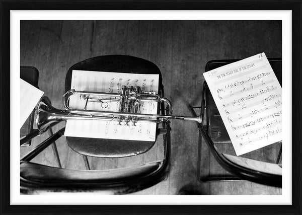 Trumpet on sheet music — Limited Edition Print, framed - Ted Williams