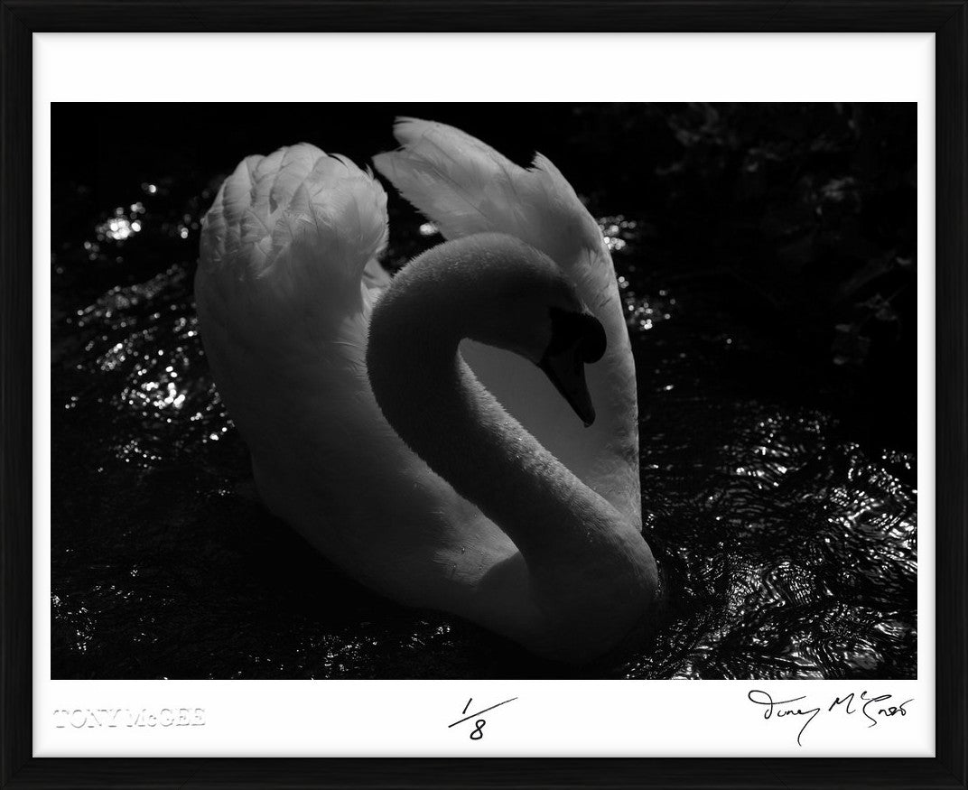  by Iconic Images – Limited Edition Print.