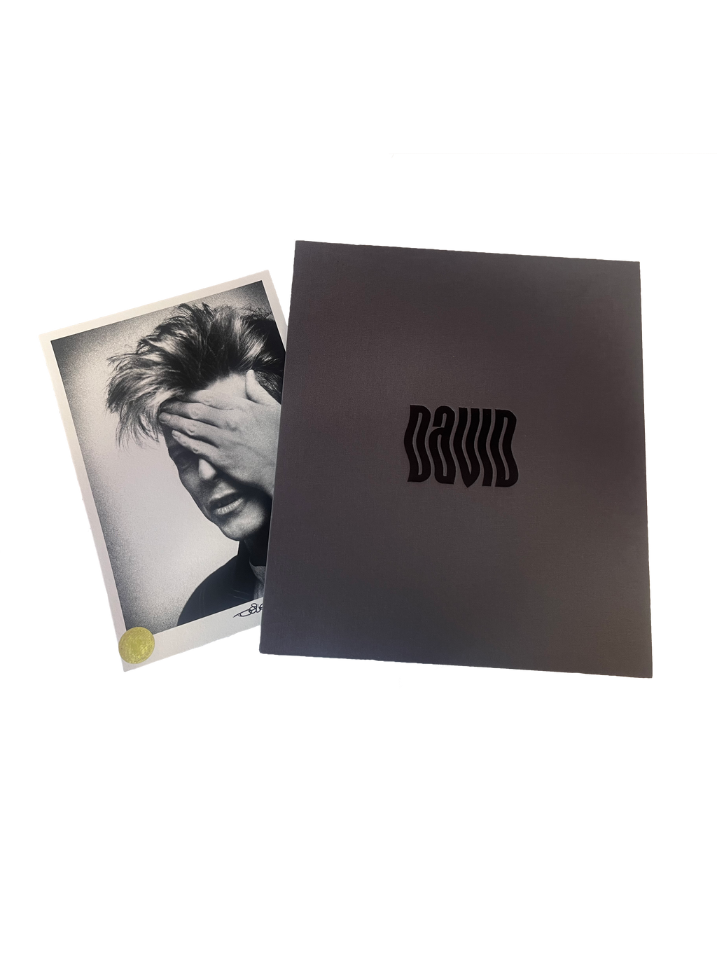 David Bowie by Denis O'Regan