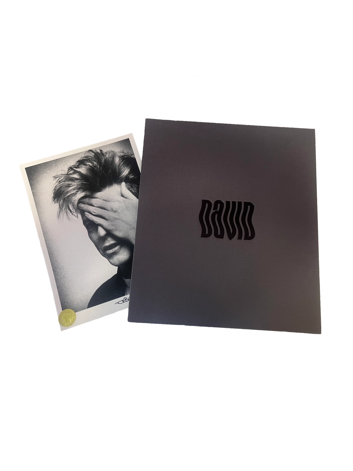  by Iconic Images – Limited Edition Print.