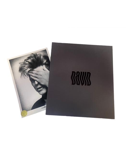 David Bowie by Denis O'Regan