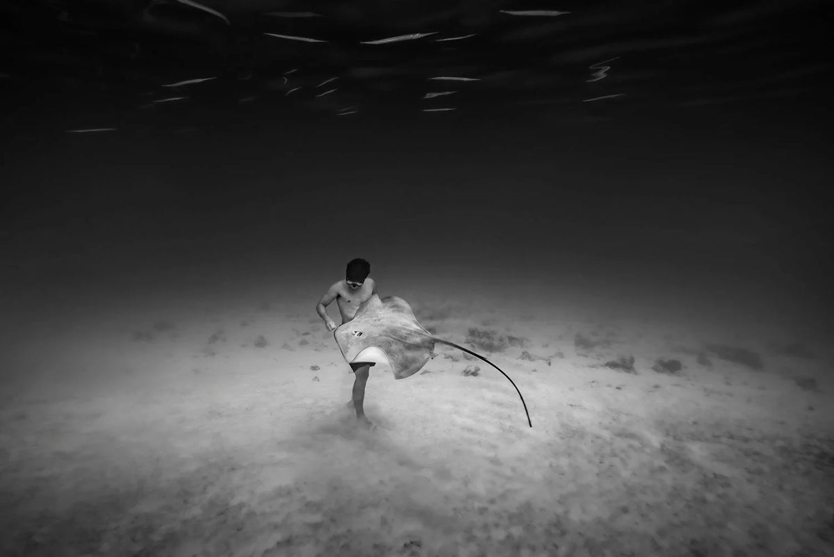  by Iconic Images – Limited Edition Print.