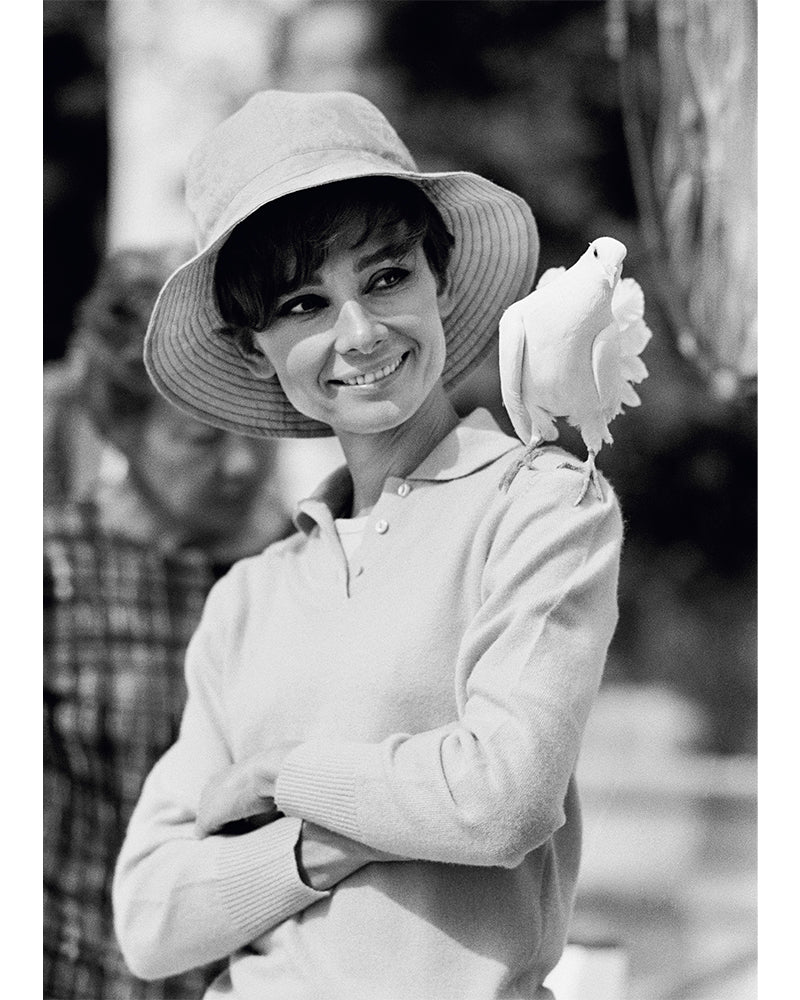 Audrey Hepburn and a dove, 1966 — Limited Edition Print - Terry O'Neill