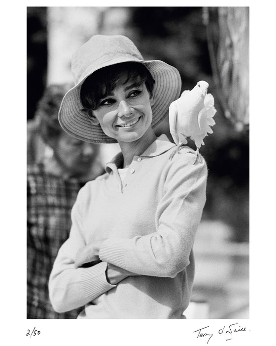Audrey Hepburn and a dove, 1966 — Limited Edition Print - Terry O'Neill