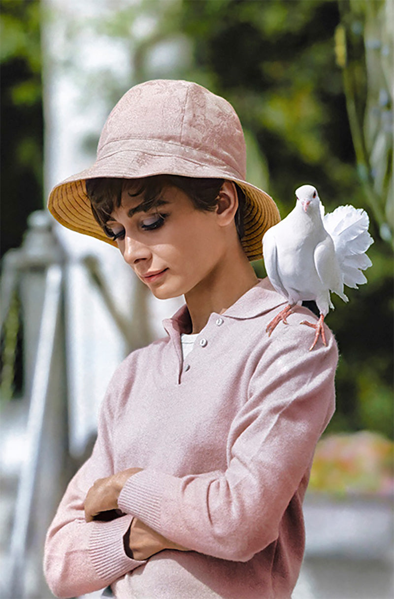  by Iconic Images – Limited Edition Print.