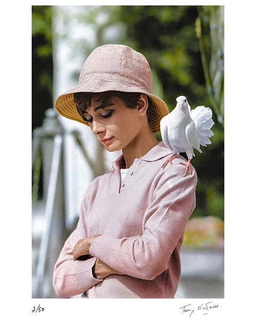 Audrey Hepburn on set in 1966, France — Limited Edition Print