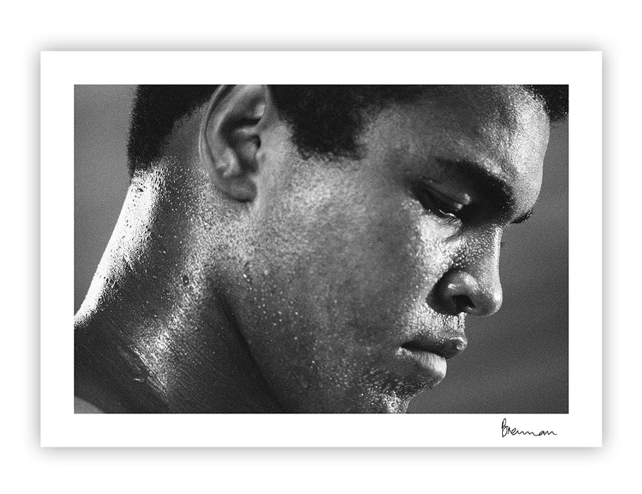 They Must Fall, Muhammad Ali and the Men He Fought - Hardcover - Michael Brennan