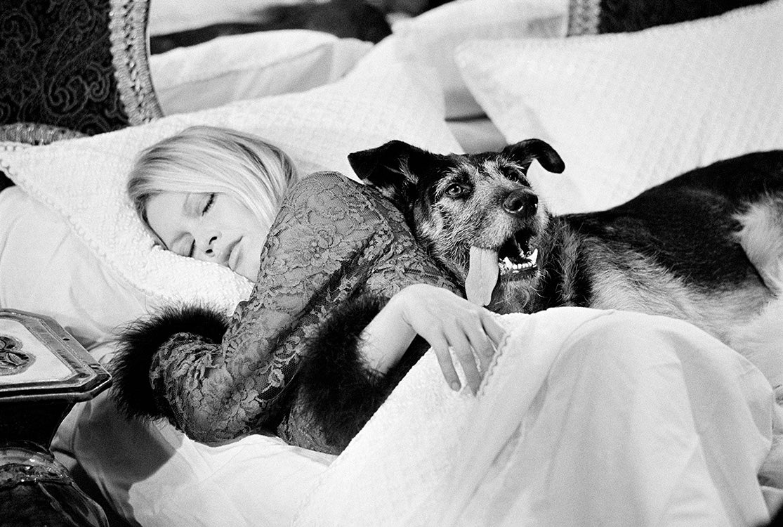 Brigitte Bardot with a dog while filming The Novices, 1970 - Co-Signed Edition Print by Terry O'Neill – Limited Edition Print.