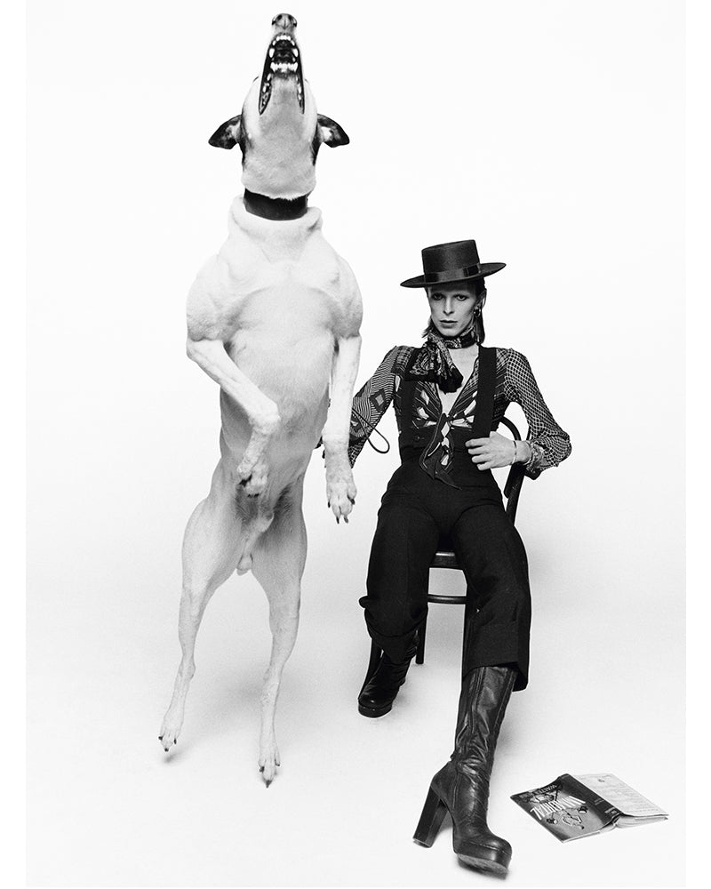 David Bowie for Diamond Dogs, 1974 — Limited Edition Print - Terry