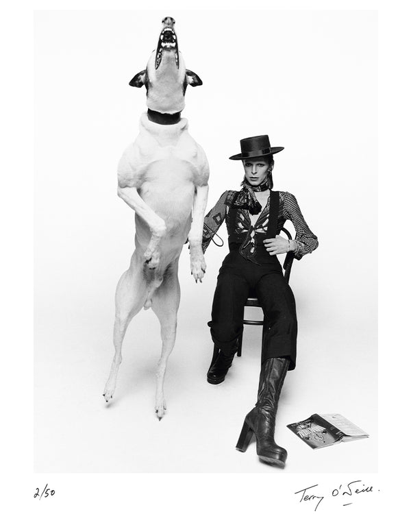 David Bowie for Diamond Dogs, 1974 — Limited Edition Print - Terry O'Neill