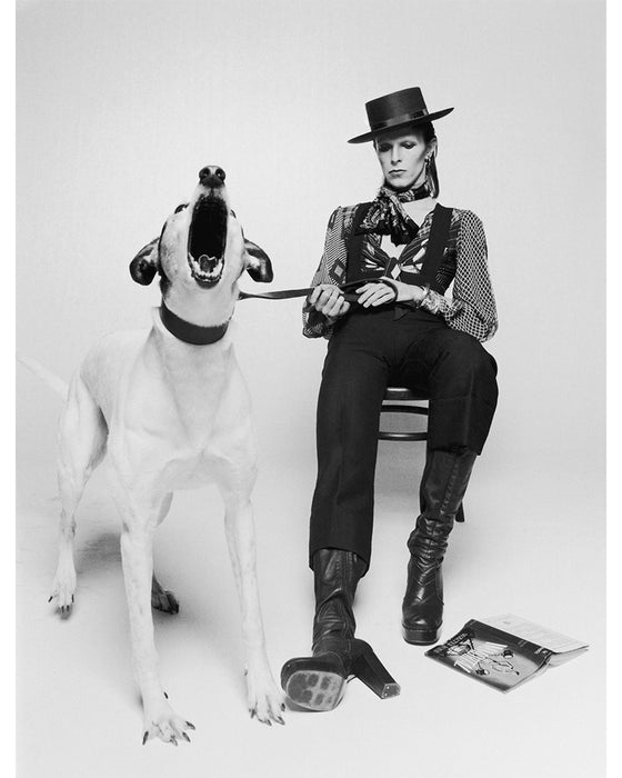 David Bowie with barking dog, 1974 — Limited Edition Print - Terry O'Neill