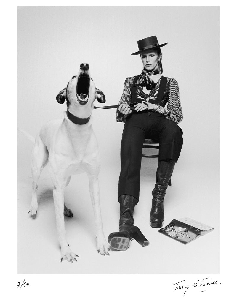 David Bowie with barking dog, 1974 — Limited Edition Print - Terry O'Neill