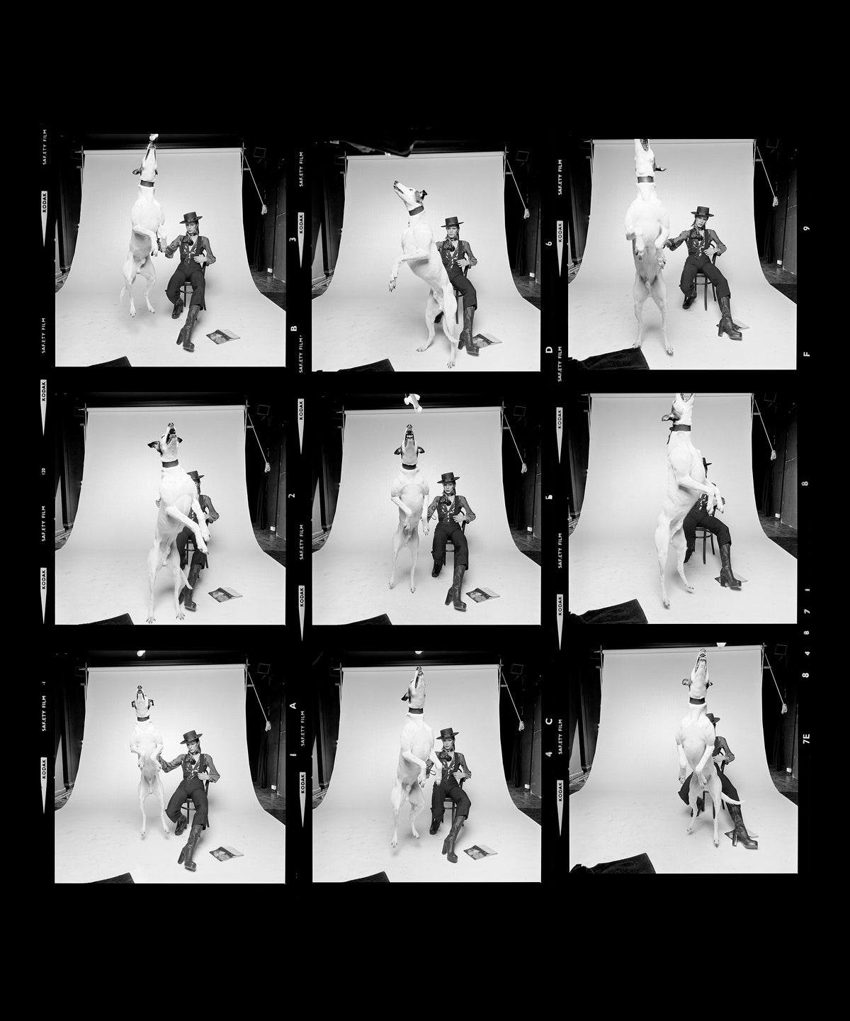 David Bowie Diamond Dogs contact sheet, 1974 by Terry O'Neill – Limited Edition Print.
