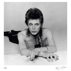 David Bowie Diamond Dog album artwork, 1974 - Limited Edition Print by Terry O'Neill – Limited Edition Print.