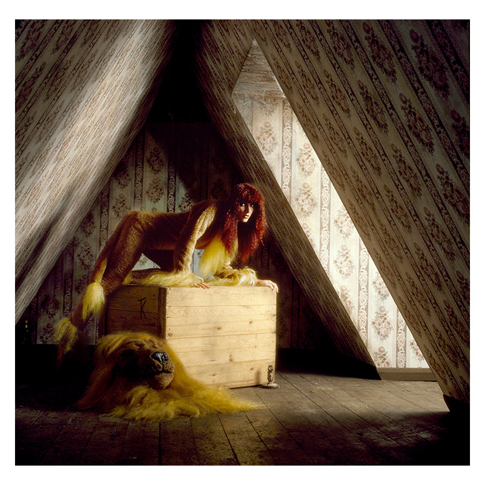  by Iconic Images – Limited Edition Print.