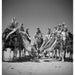Soldiers patrolling the desert, 1941 — Limited Edition Print - George Rodger