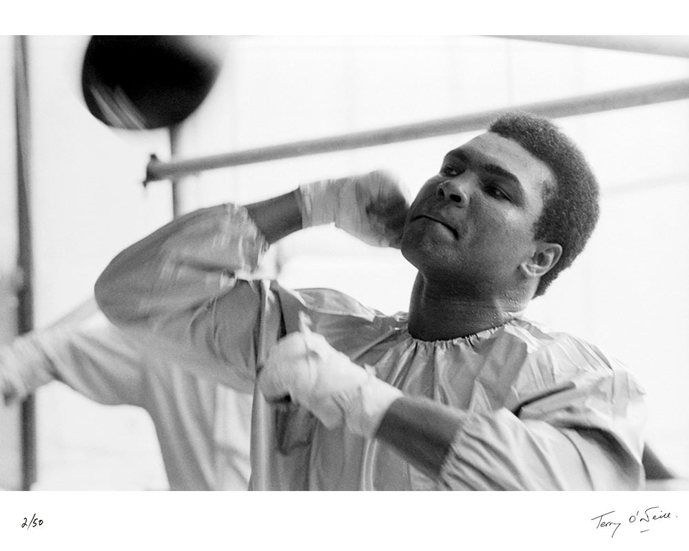Muhammad Ali training for a fight in Dublin, 1972 by Terry O'Neill – Limited Edition Print.