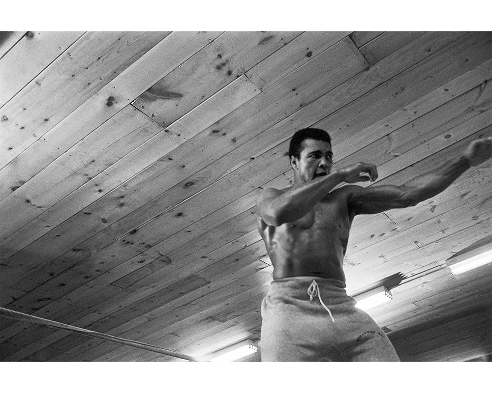 by Iconic Images – Limited Edition Print.