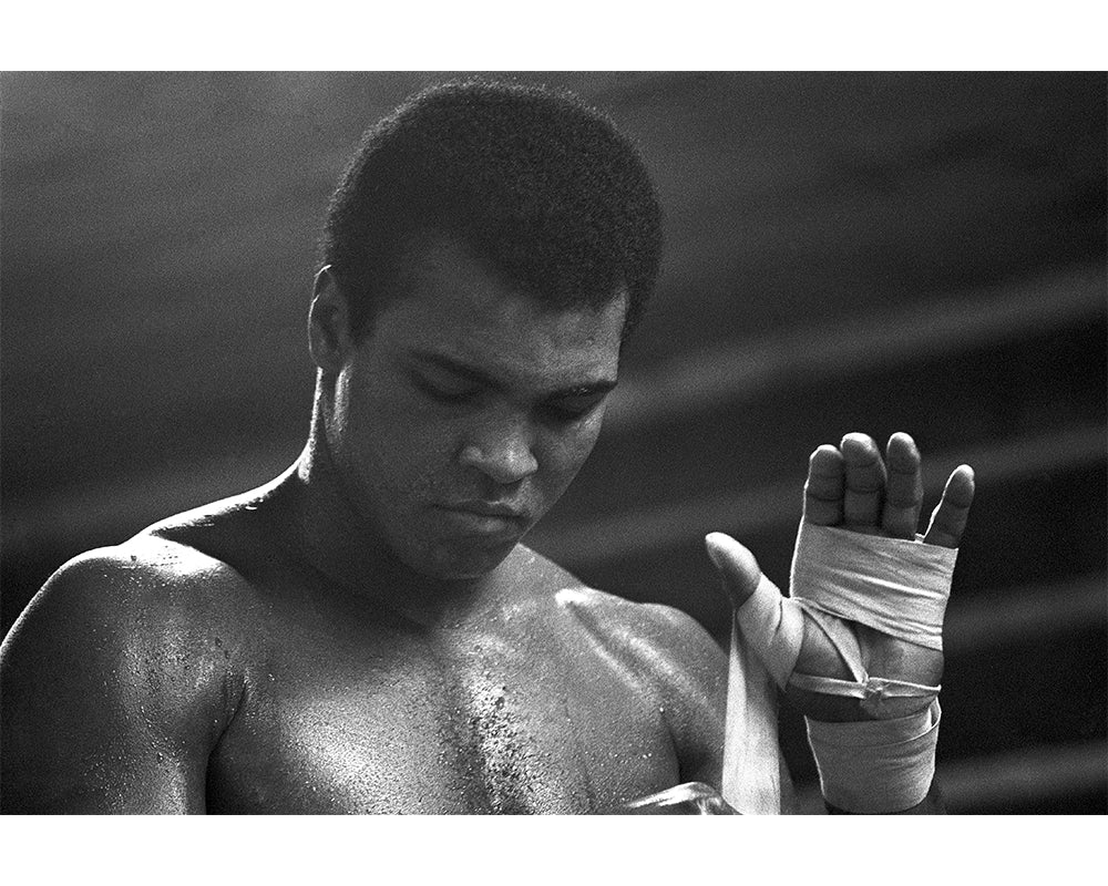  by Iconic Images – Limited Edition Print.