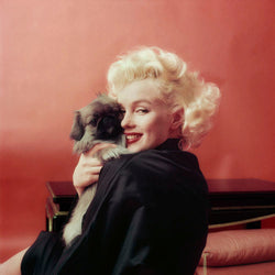 Marilyn Monroe with a Pekinese dog, 1955 - Limited Edition Print by Milton H. Greene – Limited Edition Print.