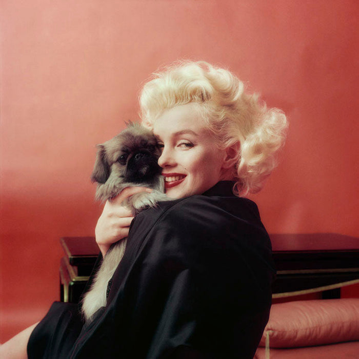 Marilyn Monroe with a Pekinese dog, 1955 — Limited Edition Print - Milton H. Greene