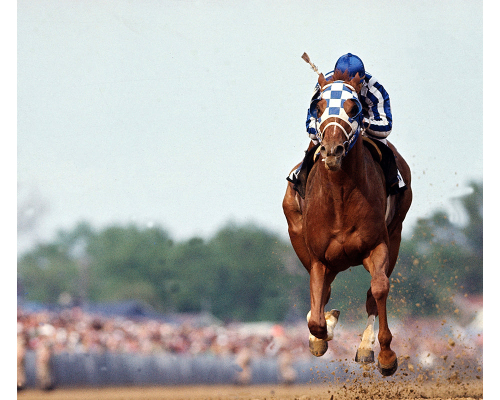 Ron Turcotte winning the Kentucky Derby, 1973 — Limited Edition Print - Neil Leifer