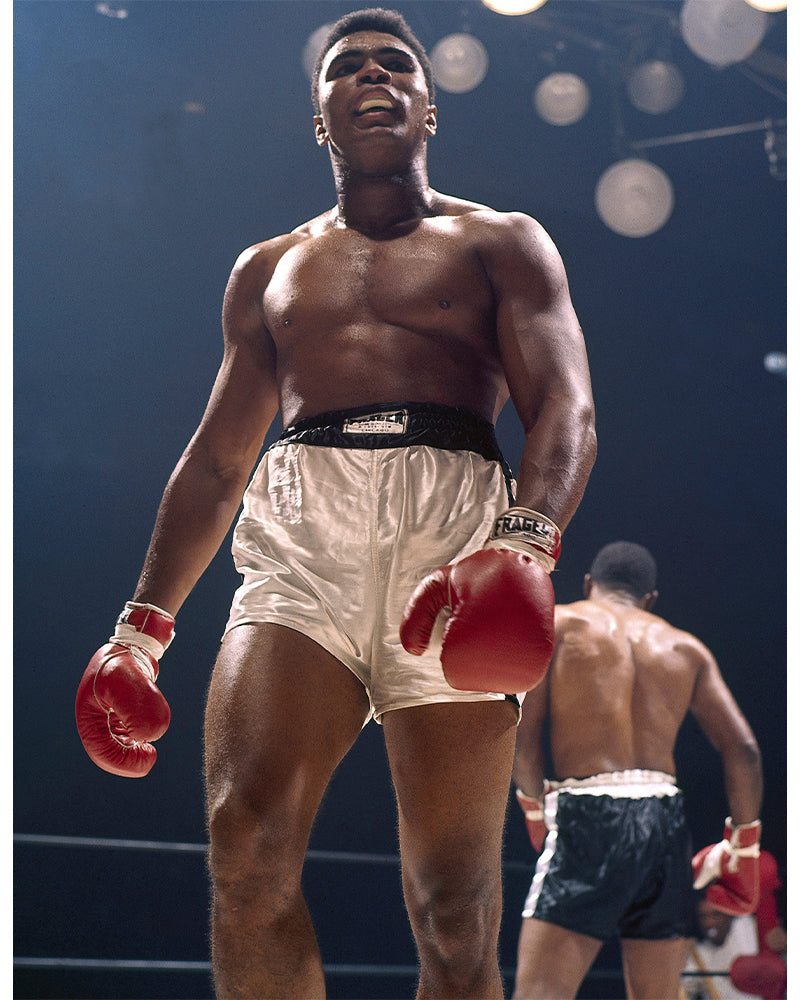  by Iconic Images – Limited Edition Print.