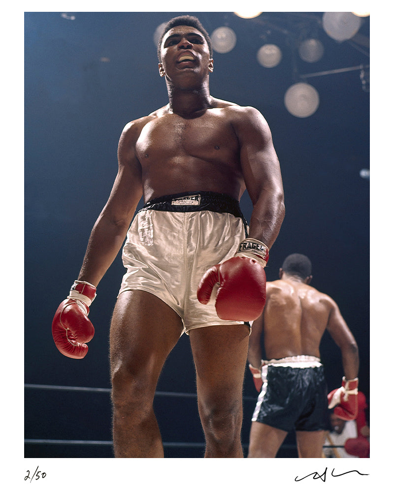  by Iconic Images – Limited Edition Print.