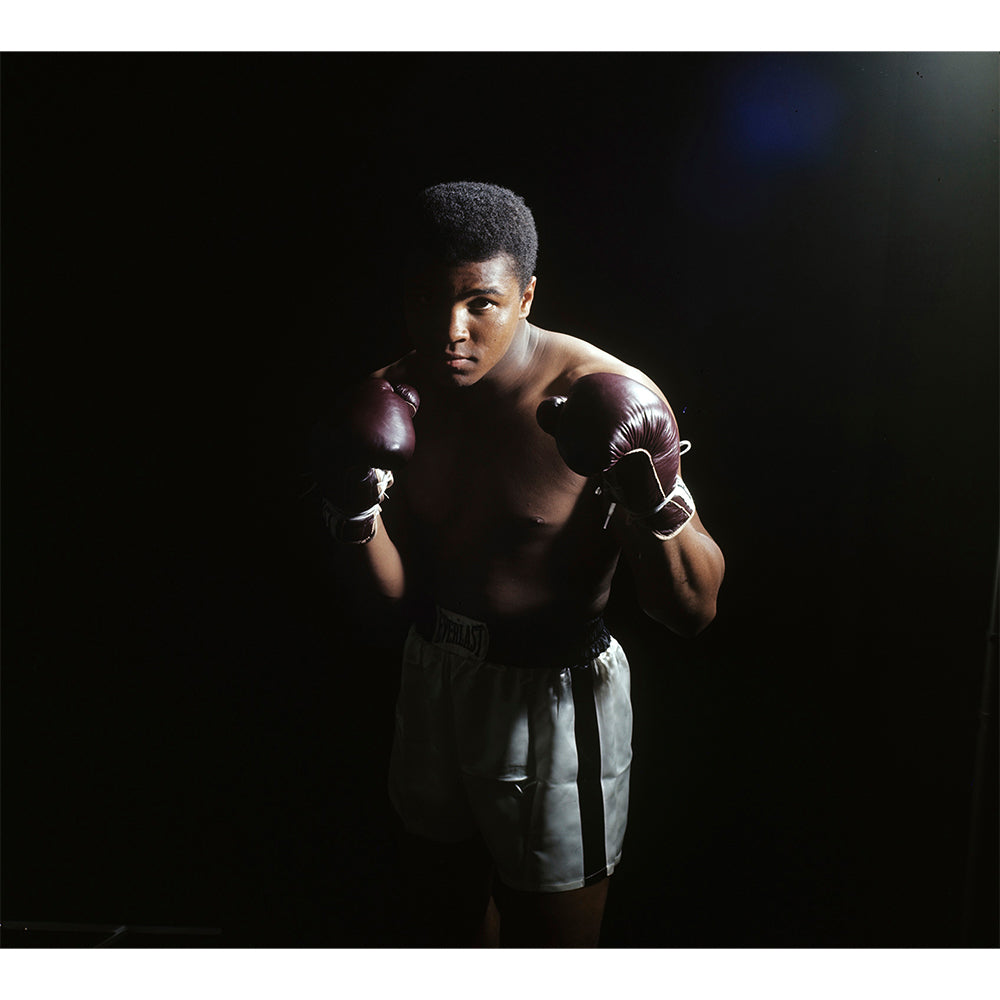  by Iconic Images – Limited Edition Print.