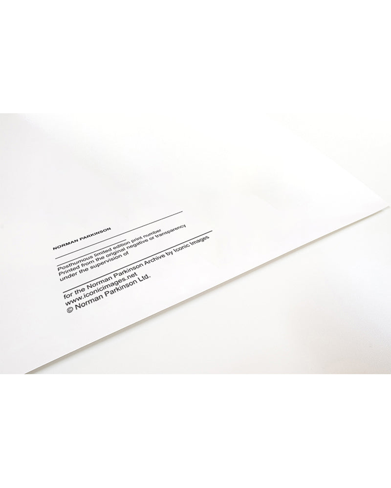 Jerry Hall on a diving plinth — Limited Edition Print - Norman Parkinson